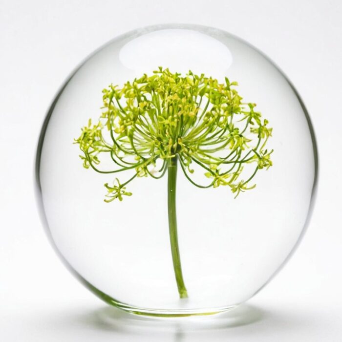 Galbanum Parfumöl