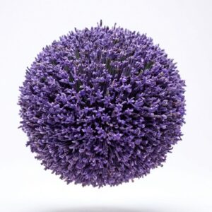 Lavendel Parfumöl